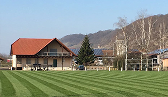 Sportfreunde Steinbach